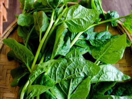 Mùa hè, 5 loại rau có dư lượng thuốc trừ sâu bằng 0, dù đắt đến đâu mẹ cũng nên mua cho con ăn