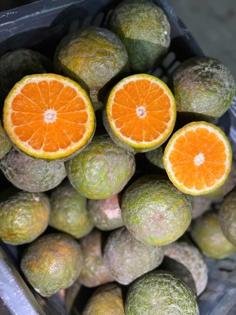 10 loại quả giá rẻ nhưng là amp;#34;kho báuamp;#34; dinh dưỡng tốt cho bà bầu, được bán đầy chợ Việt với giá từ 5.000 đồng/kg - 3