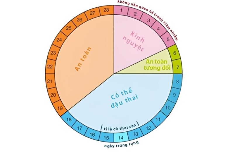 Đừng lo lắng nếu thả bầu 6 tháng vẫn chưa nhận tin vui, làm 5 điều này sẽ giúp tăng khả năng thành công - 2