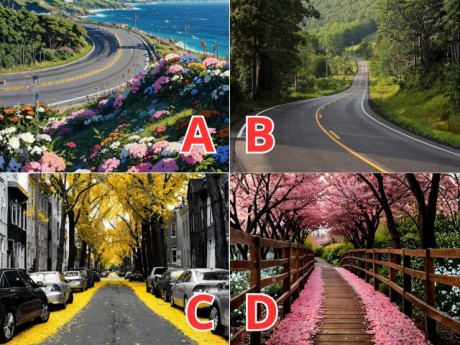 Trắc nghiệm: Chọn 1 con đường theo trực giác để biết bạn sẽ sinh bao nhiêu con trong đời