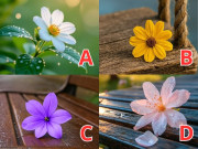 Bà bầu - Bạn sẽ có con vào thời điểm nào? Chọn một bông hoa theo trực giác để có câu trả lời