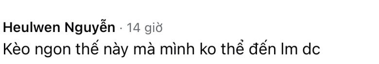 Mẹ Hà Nội tìm giúp việc trả lương cao, sáng chăm trẻ, chiều dắt thú cưng đi dạo, nghỉ báo trước 1 tháng gây tranh cãi - 3