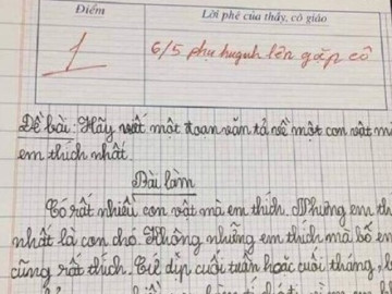 Bé tiểu học viết văn tả con vật yêu thích, cô giáo đọc xong liền mời phụ huynh đến trường