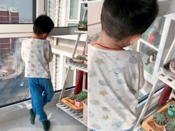 Thấy con đứng im lặng hồi lâu nhìn sang cửa sổ nhà hàng xóm, mẹ bật cười khi biết điều khiến bé ngẩn ngơ