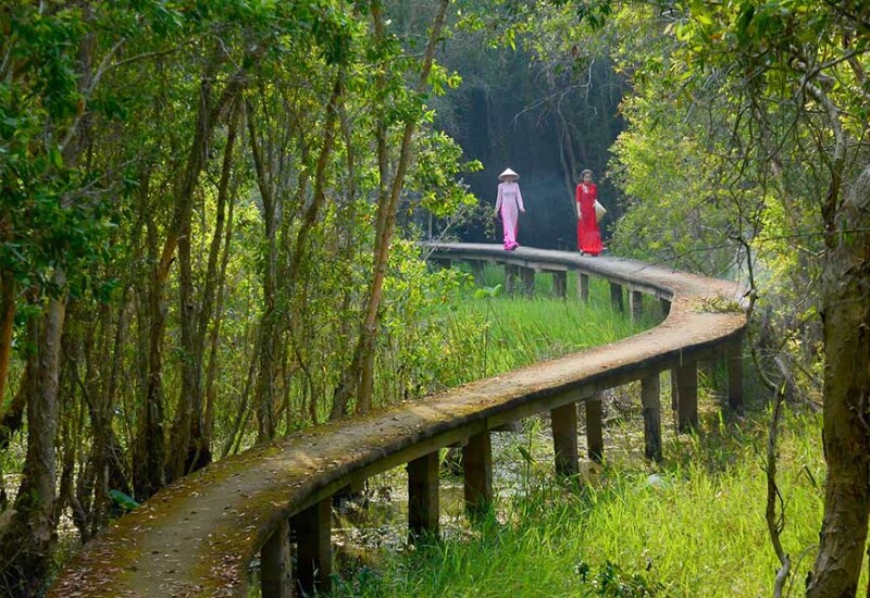 Nằm cách TP.HCM khoảng 80km, làng nổi Tân Lập (tỉnh Tây Ninh) nổi tiếng với rừng tràm xanh ngát và những con đường xuyên rừng độc đáo. Vẻ đẹp yên bình của miền sông nước khiến nơi đây trở thành điểm tránh xa khói bụi thành phố được nhiều người yêu thích.