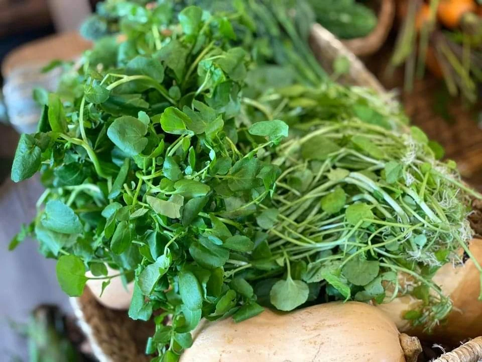 Rau cải xoong được CDC Mỹ đánh giá tốt nhất thế giới (Ảnh minh hoạ)