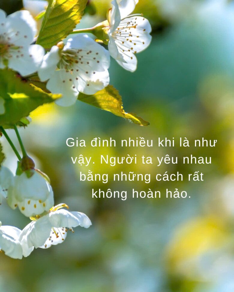 Có một nơi tôi từng ao ước mình lớn thật nhanh để rời xa, nhưng giờ lại là nơi nhớ nhất - 2