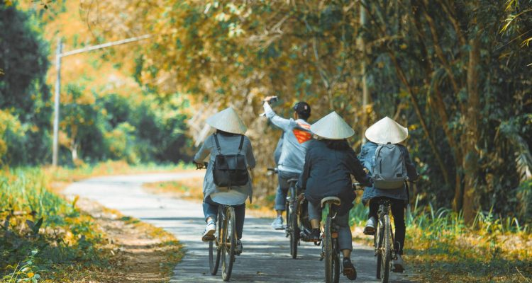 Nam Cát Tiên là một trong những vườn quốc gia mang đến đa dạng trải nghiệm cho khách du lịch, từ các hoạt động thể chất như đạp xe, đi bộ đường dài cho đến những trải nghiệm khám phá, tìm hiểu thiên nhiên.