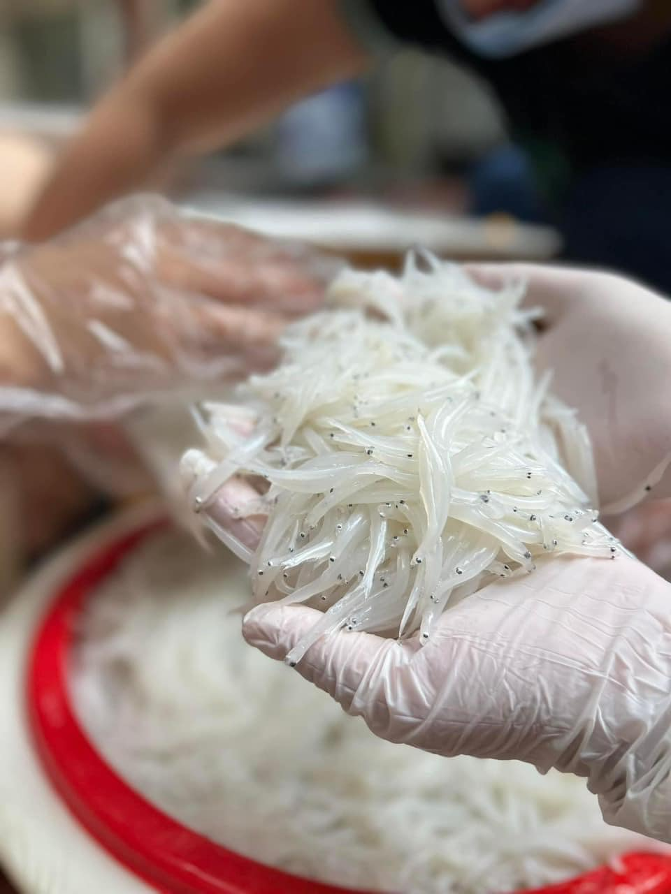 Dụng cụ làm việc rất đơn giản chỉ cần đôi bao tay và đũa tre là có thể bắt tay vào làm việc. Đôi đũa tre với đầu thật nhọn để dễ nhặt cá tạp hay rong, tảo hoặc tạp chất lẫn trong mẻ cá