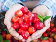 Sức khỏe - 12 loại quả giải nhiệt mùa nắng nóng, ăn đúng cách giúp ngừa bệnh về tim mạch, ngoài chợ Việt bán đầy từ 10.000 đ/kg