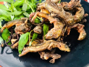 Lifestyle - “Lộc trời” ở núi Bà Đen bò ra từ trong hang đá, dân bắt về phơi khô thành đặc sản, giá 1,5 triệu đồng/kg vẫn khó mua