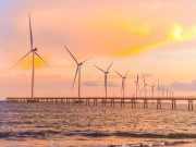 Lifestyle - Bãi tắm có cánh đồng điện gió chạy thẳng tắp trên biển ở miền Tây, nổi tiếng với đặc sản cua “chù ụ” thơm ngon