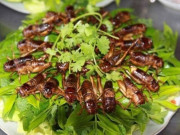 Lifestyle - 12 món đặc sản Quảng Ngãi nhất định phải thử một lần, có món tên độc lạ khiến nhiều du khách tò mò