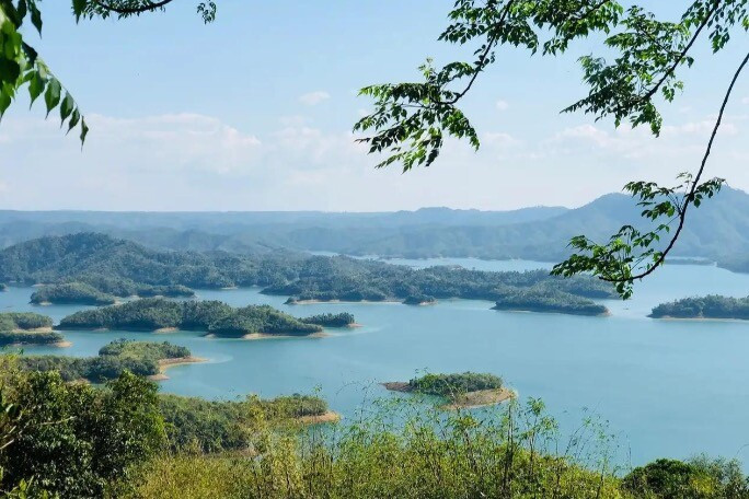 1775483315 233 thumbnail width1263height842