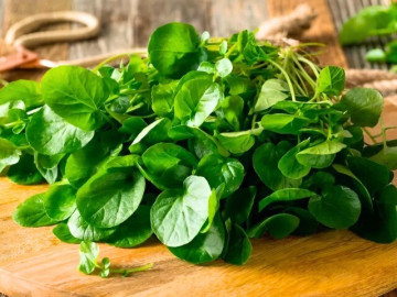 Sức khỏe - 13 loại rau tốt nhất thế giới, giàu vitamin bậc nhất, ở Việt Nam trồng bạt ngàn, cầm 15.000 đồng ra chợ là mua được