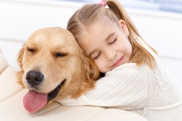 Kiểm soát vật chủ trung gian như chó, mèo và chuột là chìa khóa để bảo vệ sức khỏe gia đình.