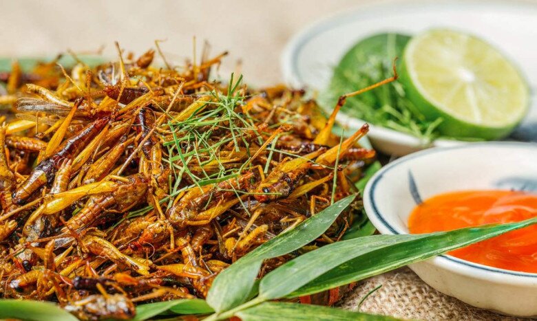 Tuyệt đối không thử những đồ ăn lạ, kể cả là đặc sản khi đi du lịch. Ảnh minh họa. 