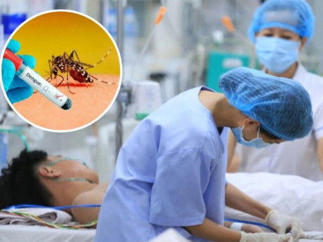 Sốt xuất huyết diễn biến phức tạp, có xu hướng gia tăng, chuyên gia chỉ 4 hiểu lầm dường như gia đình nào cũng gặp