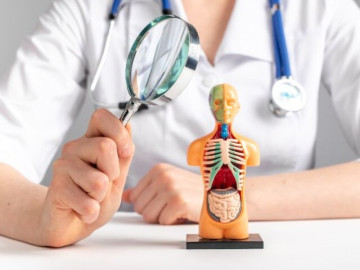 Sức khỏe - Bộ phận nào dễ bị tổn thương bởi thói quen ăn uống hằng ngày, chỉ cần thay đổi nhỏ sẽ phục hồi rất nhanh?