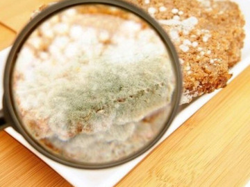 Sức khỏe - Thực phẩm mốc ăn dễ gây ung thư, nhưng loại đồ ăn này dù bị mốc lại nhiều dinh dưỡng, tốt cho sức khỏe