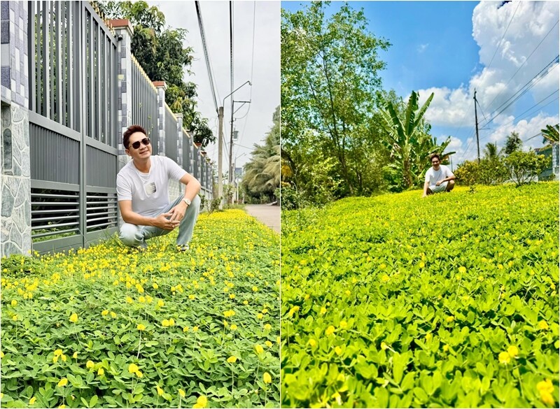 Mới đây, trên trang cá nhân, ca sĩ - diễn viên Minh Luân đã thu hút sự chú ý lớn từ người hâm mộ khi hào hứng khoe loạt ảnh chụp tại khu vườn ngập tràn cây trái của mình kèm dòng trạng thái: "Vườn nhà em".