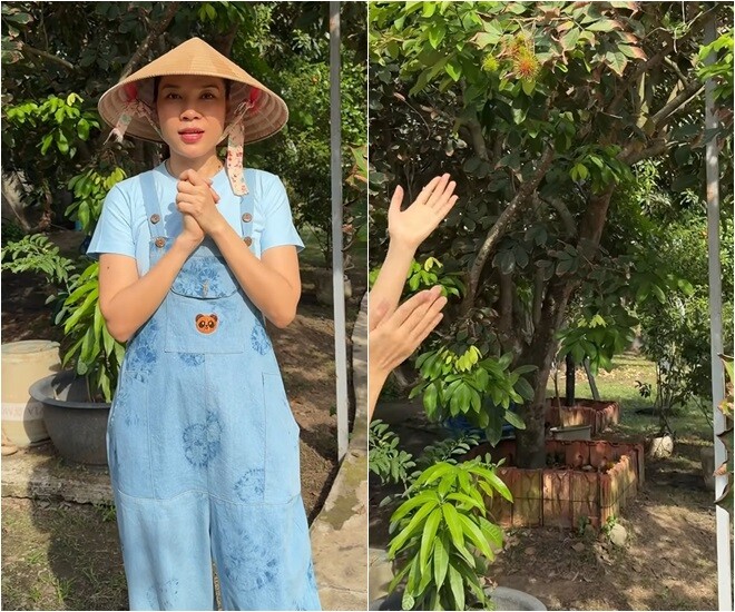 Nữ ca sĩ gốc Đà Nẵng xuất hiện rạng rỡ với trang phục quần yếm năng động kết hợp chiếc nón lá truyền thống mộc mạc rất hợp với khung cảnh khu vườn. Giọng ca sinh năm 1981 hào hứng hướng về phía những tán cây xanh mướt đang ra trái bên trong khuôn viên nghỉ dưỡng.