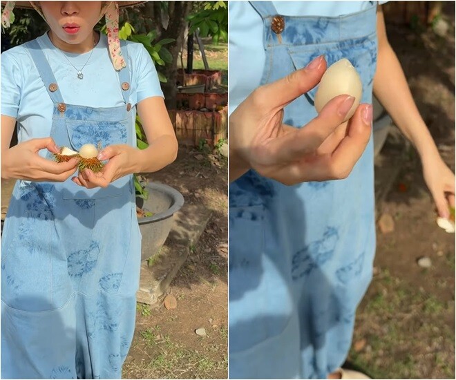 Giọng ca đình đám không ngần ngại ăn thử nông sản vừa được hái xuống nhằm kiểm tra độ ngọt và độ giòn của thịt quả. Cảm giác hạnh phúc khi được tự tay thu hoạch những sản vật sạch, an toàn giúp nữ ca sĩ có thêm nhiều năng lượng tích cực.