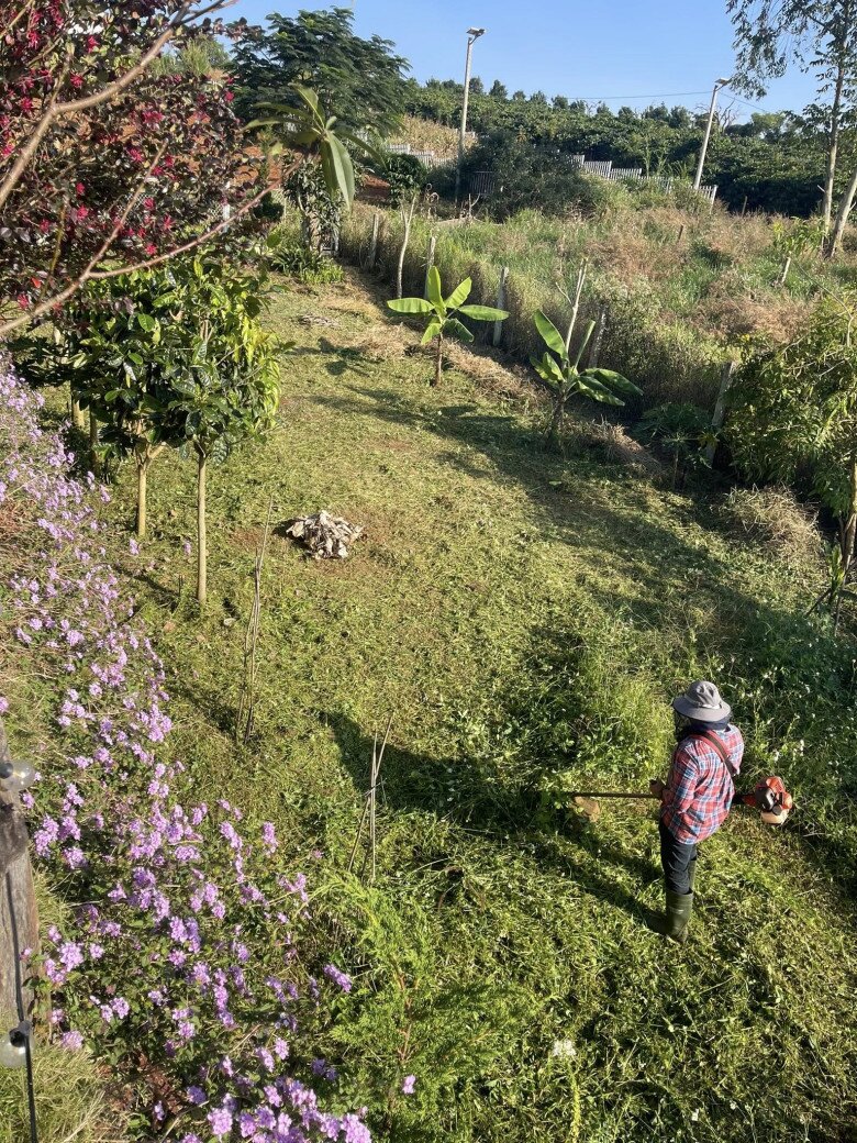 Hướng đến một lối sống tối giản, an lành và tiết kiệm, vợ chồng nữ ca sĩ chọn cách tự tay làm hết mọi việc từ dọn dẹp nhà cửa đến cắt cỏ, làm vườn mà không thuê người giúp việc. Toàn bộ không gian nhà vườn do chính ca sĩ Hoàng Lê Vi lên ý tưởng thiết kế, sắp đặt theo sở thích cá nhân.