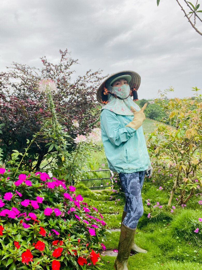 Ca sĩ Hoàng Lê Vi vui vẻ tạo dáng trong trang phục làm vườn giản dị với ủng cao cổ, găng tay và nón lá che nắng khi đứng giữa thảm hoa nở rộ. Nữ ca sĩ bày tỏ sự luyến tiếc, thương nhớ mỗi khi phải tạm rời xa mảnh vườn yêu dấu để quay lại thành phố làm việc.