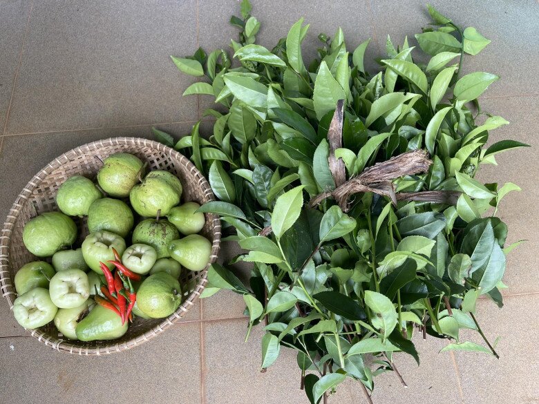 Thành quả thu hoạch giản dị nhưng đầy tự hào từ mảnh vườn tự tay chăm sóc: Một mẹt tre chứa đầy những quả ổi găng, quả mận (roi) xanh mướt, kèm theo vài quả ớt đỏ cay nồng và một bó lá chè xanh tươi rói dùng để om nước uống hàng ngày.