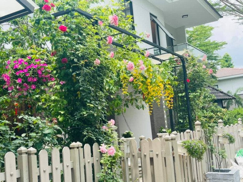 Hoa trái từng chùm và quang cảnh tuyệt đẹp trong khu vườn ở biệt thự 20 tỷ của nữ Chủ tịch Nhật Kim Anh - 11