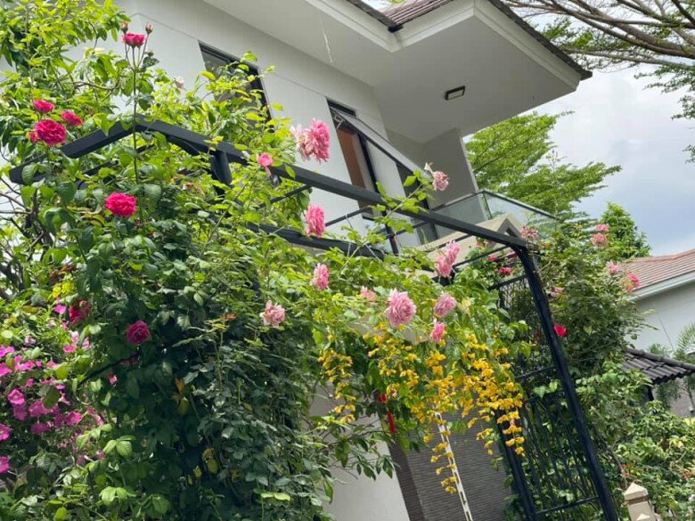 Hoa trái từng chùm và quang cảnh tuyệt đẹp trong khu vườn ở biệt thự 20 tỷ của nữ Chủ tịch Nhật Kim Anh - 10