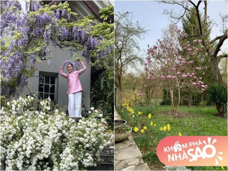 Cơ ngơi 4.000m2 đẹp như tranh vẽ của nghệ sĩ Lê Vi, khu vườn xinh muôn sắc màu chẳng khác nào cổ tích