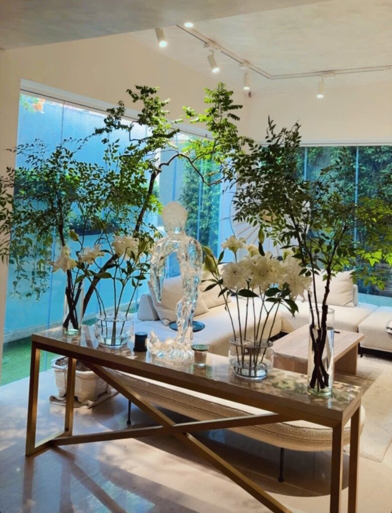 Khu rừng yên tĩnh do Hồ Ngọc Hà tạo ra.