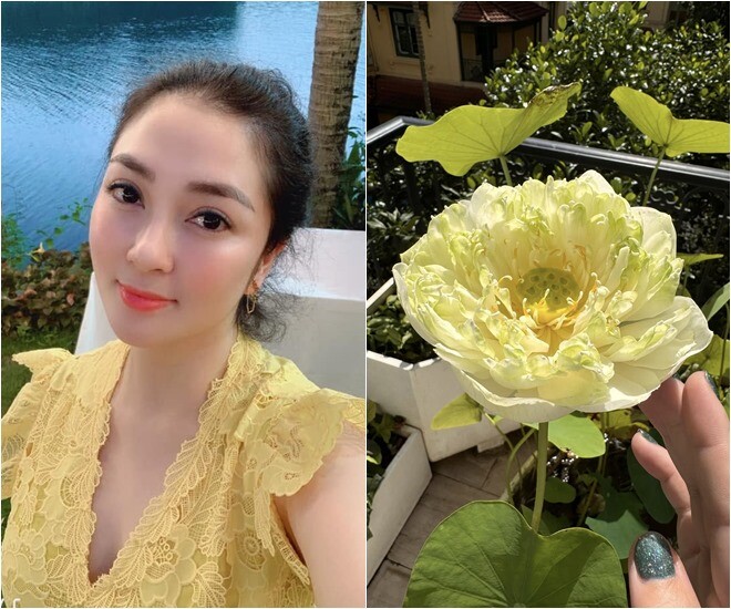 Hoa hậu Nguyễn Thị Huyền sở hữu rất nhiều loại sen, trong hình là đóa sen xanh quan âm độc đáo do chính tay cô vun trồng. Góc ban công ngập tràn ánh nắng và sắc xanh dịu mát trở thành chốn nghỉ dưỡng bình yên, thư thái của nàng hậu sau những giờ làm việc.