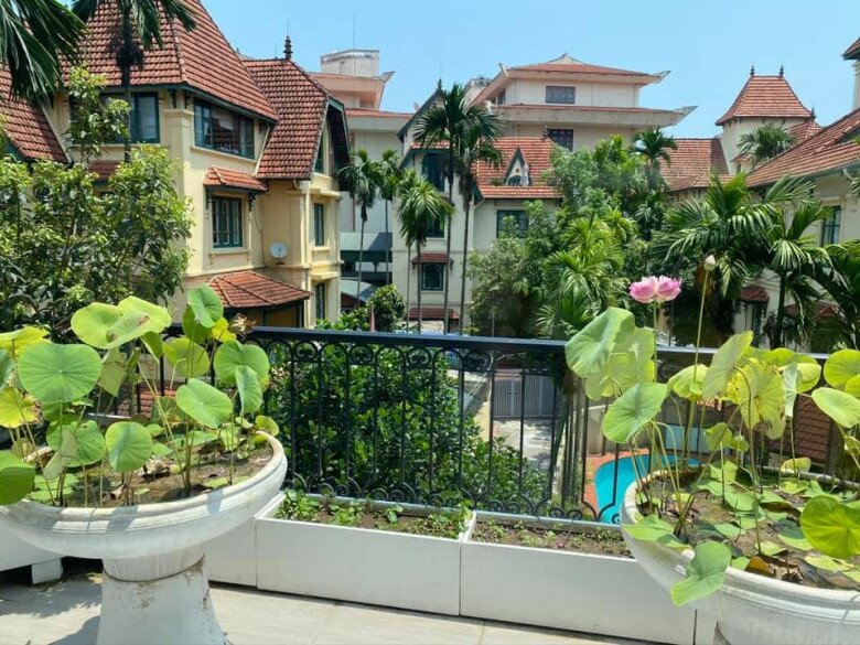 Toàn cảnh không gian ban công tầng cao lộng gió, nơi được bố trí các chậu sen dáng ly lớn kiêu hãnh vươn mình đón nắng. Từ đây có thể phóng tầm mắt ra khu biệt thự mang kiến trúc châu Âu cổ điển bao quanh bởi những tán cây xanh cổ thụ.