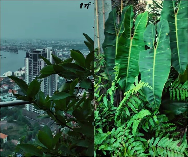 Một dân mạng bình luận: Kiểu tự nhiên. Mình mua hoa về cũng trồng chen nhau như vậy, hay mà. Chứ ngay ngắn thẳng hàng nó nhìn rõ kiểu nhân tạo. Cái này tuỳ tính cách con người nữa ấy, như chị Bống thích trồng kiểu vầy là chuẩn nè.