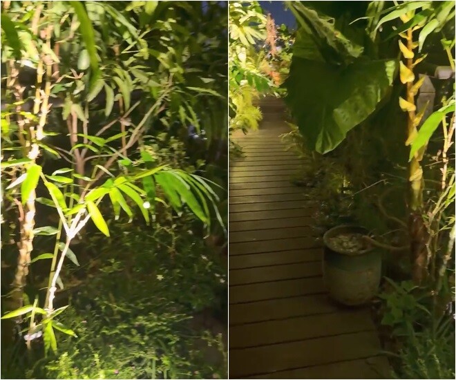 Đặc biệt, khi thành phố lên đèn, khu vườn sân thượng bỗng chốc lột xác thành một ốc đảo vô cùng lãng mạn. Hệ thống đèn nghệ thuật được tính toán kỹ lưỡng, hắt ngược từ gốc cây, làm nổi bật lên những tán lá dương xỉ, giàn mướp hay bụi hoa thanh xà xanh mướt.