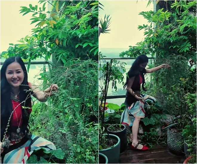 Tuy nhiên, số đông khán giả và những người yêu thích phong cách sống tự nhiên lại lên tiếng bênh vực đầy hào hứng. Họ cho rằng chính sự ngẫu hứng, mộc mạc và đan cài không theo quy tắc ấy mới là đỉnh cao của một không gian thư giãn đích thực, nơi cây cối được phát triển tự do như giữa đại ngàn hoang sơ.