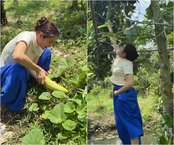 Khu vườn trĩu quả trong cơ ngơi 50.000m2 hàng chục tỷ của Vân Trang, mở cửa lều là thò tay vén mận - 1