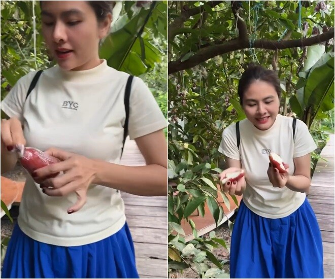 Khu vườn trĩu quả trong cơ ngơi 50.000m2 hàng chục tỷ của Vân Trang, mở cửa lều là thò tay vén mận - 12