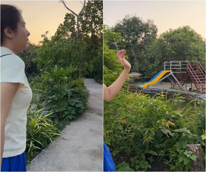 Khu vườn trĩu quả trong cơ ngơi 50.000m2 hàng chục tỷ của Vân Trang, mở cửa lều là thò tay vén mận - 7