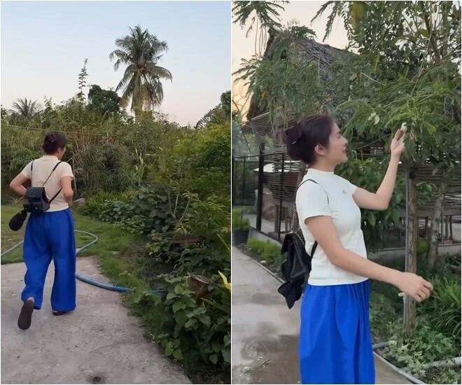 Bước chân trên con đường đất nhỏ bao quanh bởi sắc xanh rực rỡ của cỏ cây, hoa lá. Vân Trang thường xuyên về đây để tái tạo năng lượng và giúp các con có thêm nhiều trải nghiệm tuổi thơ đáng nhớ.