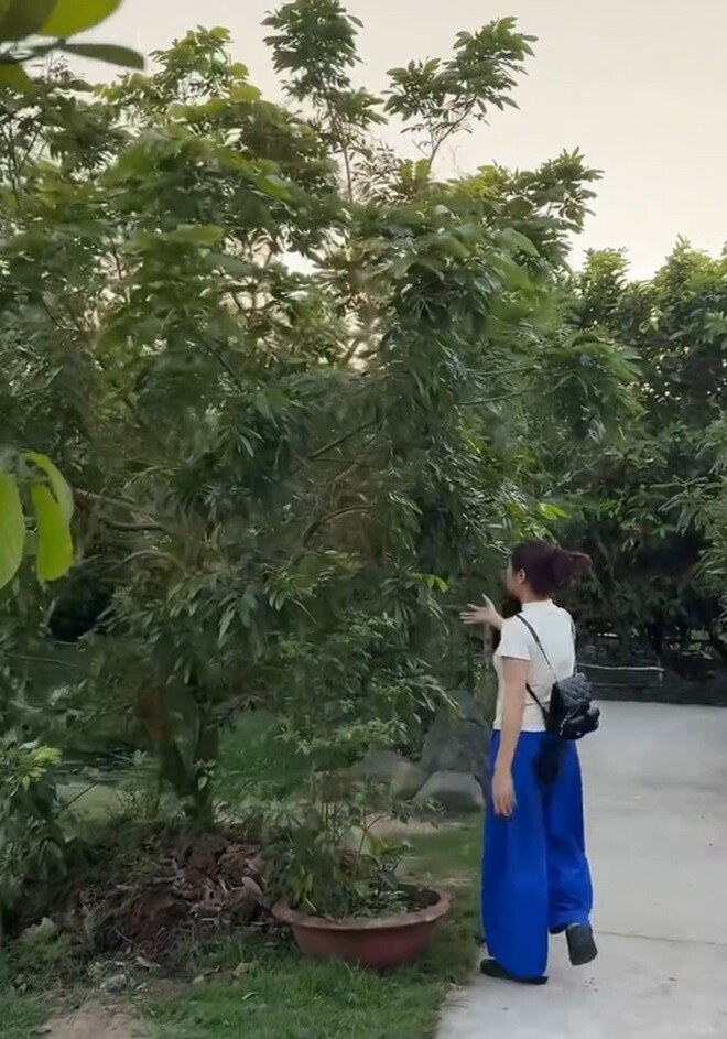 Vân Trang bên một gốc nhãn. Đây không chỉ là công trình tâm huyết mà còn là nơi lưu giữ ký ức gia đình qua nhiều thế hệ.