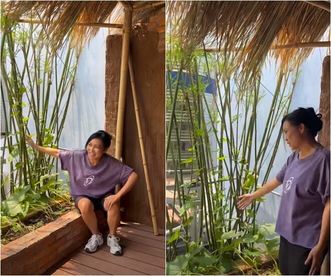 Để che bồn nước, Phương Thanh đã mang tre trúc từ Long An lên tạo thành hàng rào chắn vừa mát mẻ vừa đậm chất thôn quê dân dã cho khu vườn của mình.