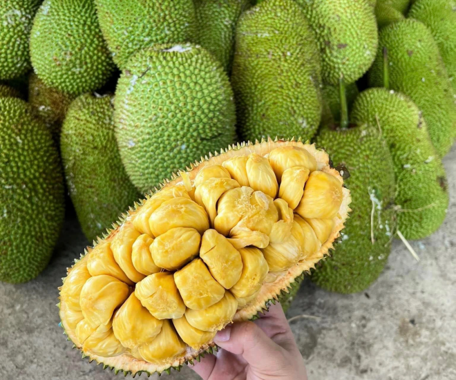 Loại quả đặc sản có ở Đồng Nai giá 55.000 đồng/kg, trồng sau nhà giúp hút lộc, thu hoạch quả suốt 30 năm - 1