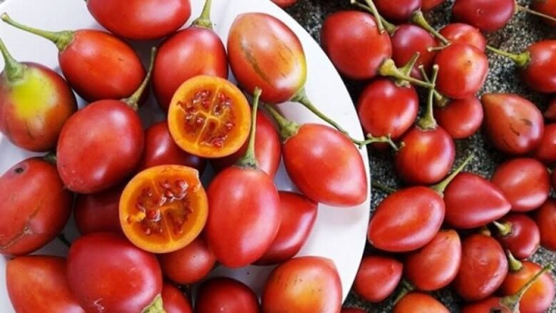 Loại quả từng là đặc sản đắt đỏ nay có giá 70.000 đồng/kg, vitamin C cao gấp 10 lần táo, trồng một lần ăn suốt 20 năm - 2