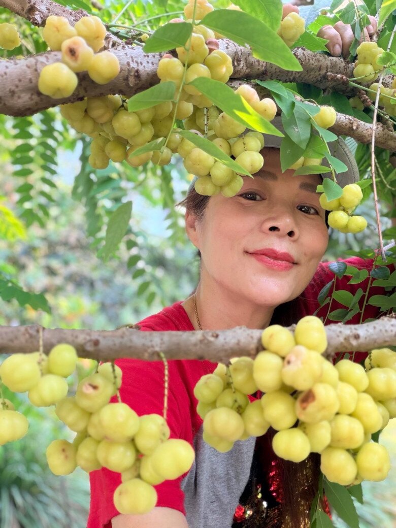 Mãn nhãn khu vườn amp;#34;vàng ròngamp;#34; của ca sĩ Mỹ Lệ: Bí hồ lô sai trĩu, đủ loại trái chín lủng lẳng khắp lối đi - 4