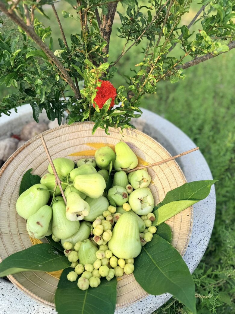 Khu vườn rộng thênh thang, tràn ngập ánh nắng và tiếng chim chóc làm giọng ca 54 tuổi thấy vô cùng thư giãn. Cứ ra vườn thì vui như đứa trẻ được quà ấy! - Mỹ Lệ tâm sự.