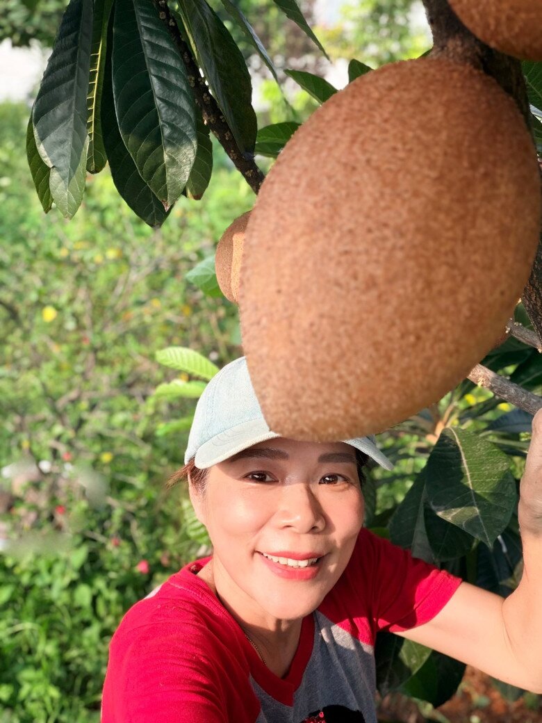 Giống hồng xiêm Mexico cho quả rất lớn. Nữ ca sĩ chia sẻ với bạn bè: Đây là trái thiếu nhi thôi, nó chín thì 1,5 - 2 kg/trái. Giờ mới tầm 5 lạng, mà nhìn đã sướng rồi.